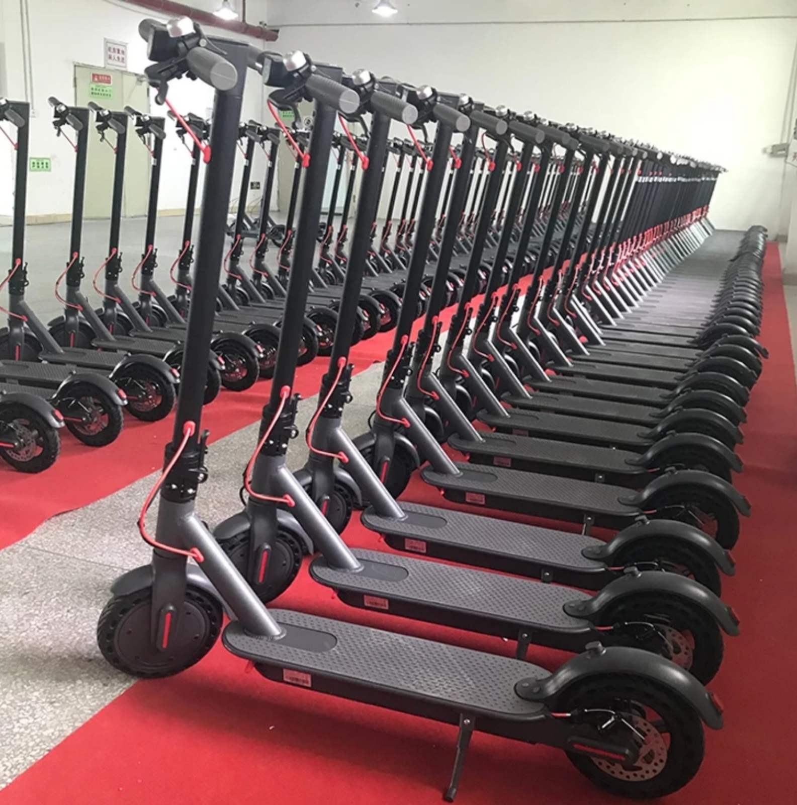 Rent our Kick Scooters 